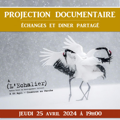 projection-eternel-emerveille-400x400